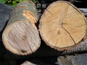 Clean wood