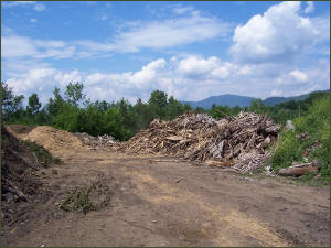 Brush piles at transfer station