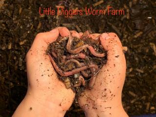 Little Digger Composting with Worms 