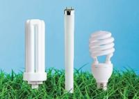 bulbs 